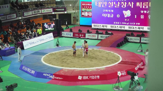 Truyền thống đấu vật Ssireum mừng năm mới ở Hàn Quốc - Ảnh 1.