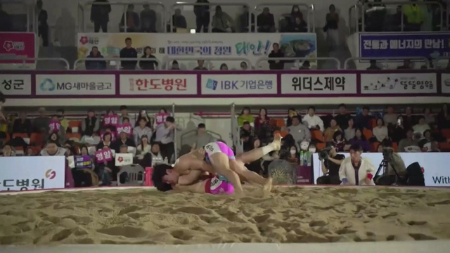 Truyền thống đấu vật Ssireum mừng năm mới ở Hàn Quốc - Ảnh 2.