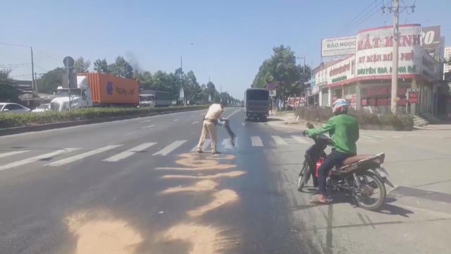 60 Giây ngày 2/2/2026 | TP. Hồ Chí Minh: Cúc mâm xôi giá rẻ phủ vàng nhiều tuyến đường - Ảnh 7.