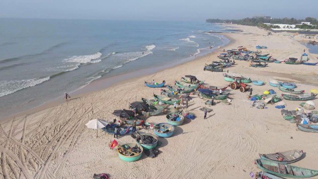 Giá hải sản tăng cao, ngư dân TP. Hồ Chí Minh thu nhập ổn định ngày đầu xuân - Ảnh 1.