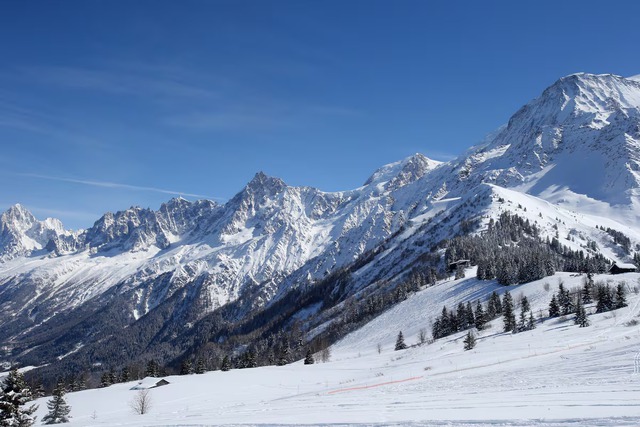 Tuyết lở ở Áo gây ra nhiều thương vong - Ảnh 2.