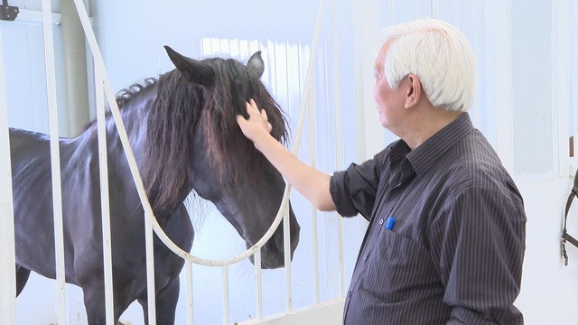 Cưỡi ngựa thành trào lưu du xuân của giới trẻ TP. Hồ Chí Minh- Ảnh 6.