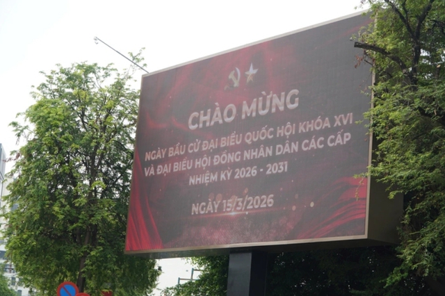 TP. Hồ Chí Minh tổ chức bầu cử đại biểu Quốc hội và HĐND sớm vào mùng 10 Tết Bính Ngọ- Ảnh 1.