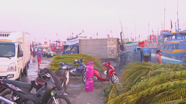 60 Giây ngày 23/2/2026 | Giao thông cửa ngõ TP. Hồ Chí Minh tăng cao ngày cuối kỳ nghỉ Tết - Ảnh 5.