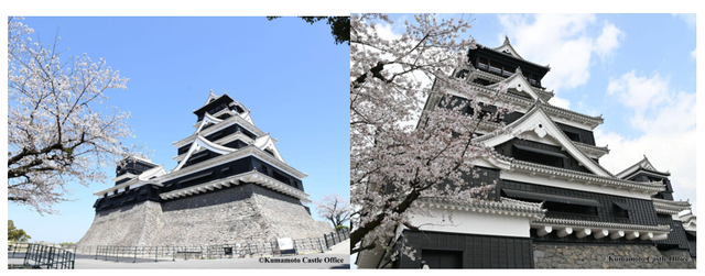 Mùa Xuân gõ cửa: Ngắm hoa anh đào khoe sắc tại Kyoshu Nhật Bản  - Ảnh 2.