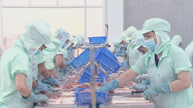 Kỷ nguyên mới của nông nghiệp Việt: Khẳng định giá trị từ chất lượng và chuỗi liên kết bền vững - Ảnh 3.