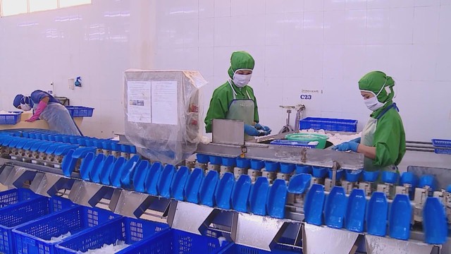 Kỷ nguyên mới của nông nghiệp Việt: Khẳng định giá trị từ chất lượng và chuỗi liên kết bền vững - Ảnh 5.