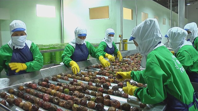 Kỷ nguyên mới của nông nghiệp Việt: Khẳng định giá trị từ chất lượng và chuỗi liên kết bền vững - Ảnh 7.