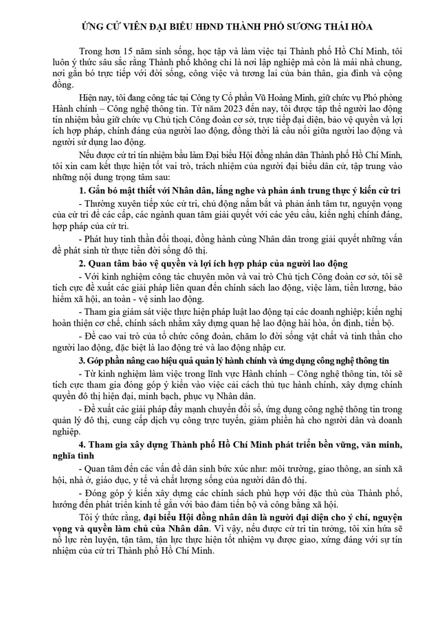 Tóm tắt tiểu sử ông/bà XXX ứng cử Hội đồng nhân dân TP. Hồ Chí Minh Khóa XI - Ảnh 2.