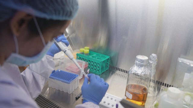 Ấn Độ: Thử nghiệm lần cuối vaccine phòng sốt xuất huyết tiêm một liều duy nhất - Ảnh 2.