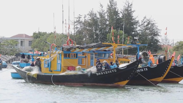 Siết chặt chống khai thác IUU tại TP. Hồ Chí Minh trước đợt kiểm tra của Ủy ban châu Âu - Ảnh 2.