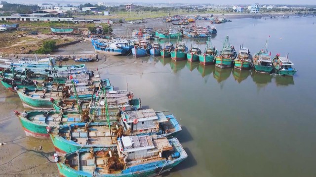 Siết chặt chống khai thác IUU tại TP. Hồ Chí Minh trước đợt kiểm tra của Ủy ban châu Âu - Ảnh 3.