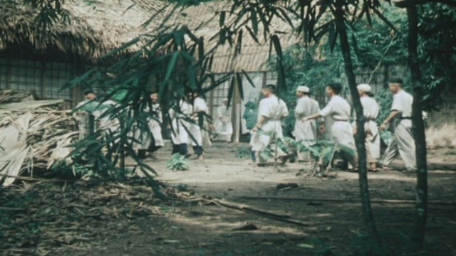 Kỷ niệm 71 năm Ngày Thầy thuốc Việt Nam: Tiếp nối lời dạy của Chủ tịch Hồ Chí Minh, xây dựng nền y tế hiện đại và nhân văn - Ảnh 1.