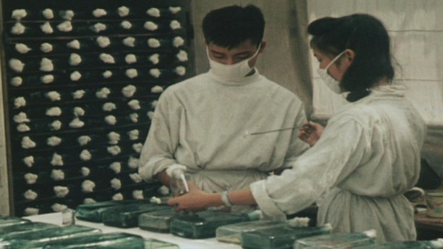 Kỷ niệm 71 năm Ngày Thầy thuốc Việt Nam: Tiếp nối lời dạy của Chủ tịch Hồ Chí Minh, xây dựng nền y tế hiện đại và nhân văn - Ảnh 3.