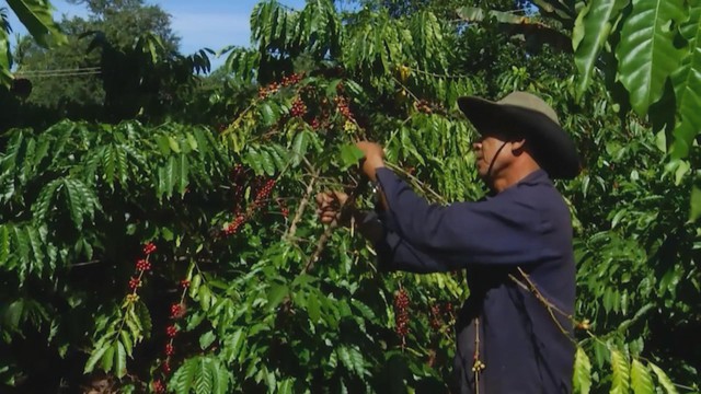 Xuất khẩu nông lâm sản đặt nhiều kỳ vọng tăng trưởng trong năm mới - Ảnh 1.