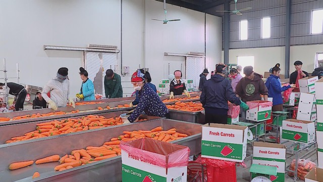 Xuất khẩu nông lâm sản đặt nhiều kỳ vọng tăng trưởng trong năm mới - Ảnh 3.