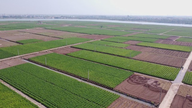 Xuất khẩu nông lâm sản đặt nhiều kỳ vọng tăng trưởng trong năm mới - Ảnh 2.