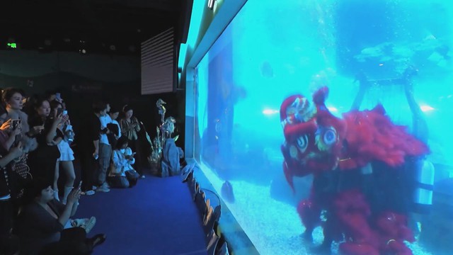 Trung Quốc: Múa lân dưới nước mừng năm mới  - Ảnh 1.