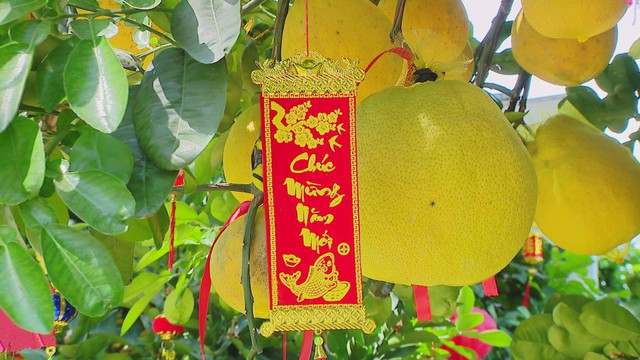 Thị trường hoa, cây cảnh Tết vào "đường đua" cận Tết. - Ảnh 1.