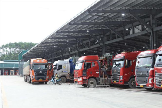 Thủ tướng chỉ đạo tháo gỡ vướng mắc trong triển khai Nghị định về an toàn thực phẩm - Ảnh 1.