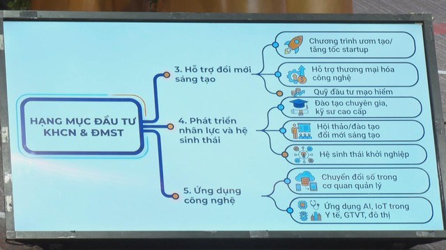 Tháo gỡ chính sách để khơi thông nguồn lực kiều bào cho phát triển thành phố- Ảnh 2.