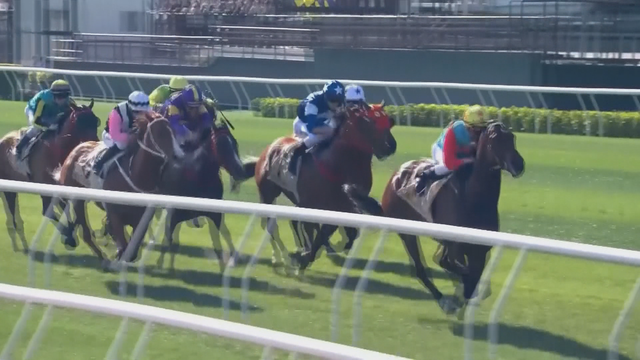 Trung Quốc: Đua ngựa tại Hong Kong mừng Tết Nguyên đán - Ảnh 2.