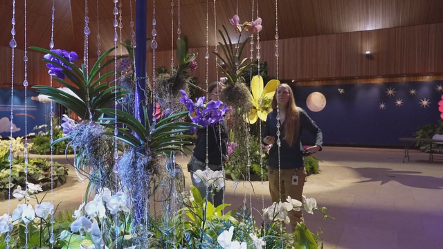 Xu hướng quà tặng dịp lễ tình nhân 14/2 tại Mỹ - Ảnh 1.