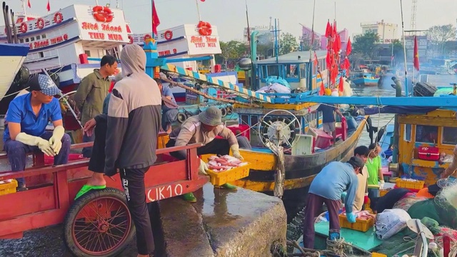 Chương trình 60 Giây ngày 9/2/2026 | Hải sản về nhiều dịp Tết, ngư dân Phan Thiết hứng khởi - Ảnh 1.