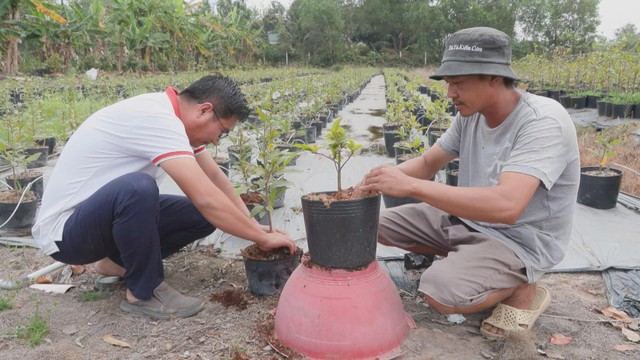 Vươn khơi - Ngày 9/2/2026 | Thành phố Hồ Chí Minh chủ động đảm bảo vé xe phục vụ người dân về quê đón Tết - Ảnh 2.