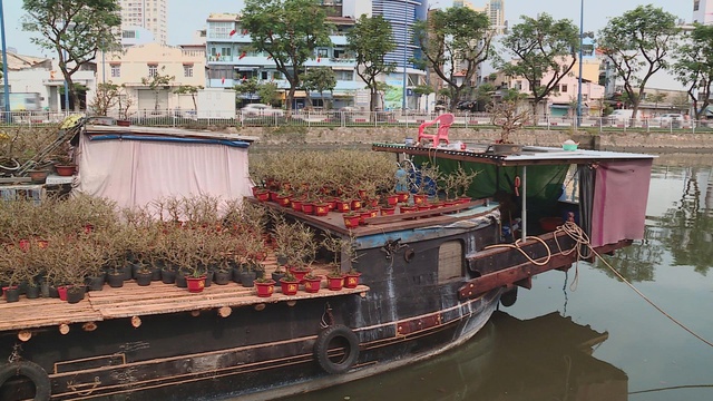 Chợ hoa Xuân "Trên bến dưới thuyền" 2026: Ghe hoa tấp nập cập bến, sẵn sàng cho mùa Tết cao điểm - Ảnh 7.