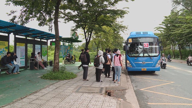 TP. Hồ Chí Minh miễn phí xe buýt và metro số 1 trong ngày bầu cử 15/3 - Ảnh 3.