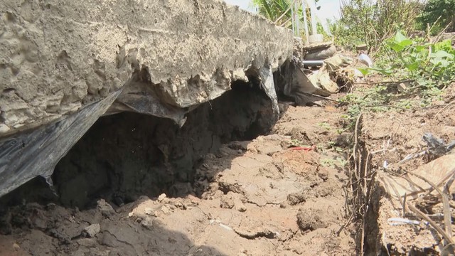 60 Giây ngày 12/3/2026 |Từ 22h ngày 11-3, giá xăng dầu giảm đến gần 8.000 đồng/lít. - Ảnh 1.