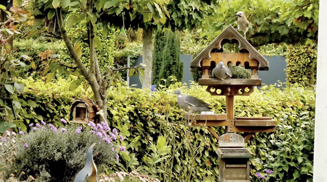 Góc nhỏ kỳ diệu: Học vẽ khu vườn  - Ảnh 3.