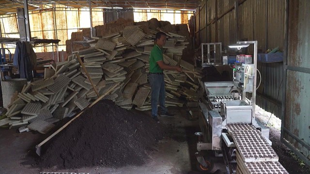 Startup trẻ nông nghiệp công nghệ cao tìm hướng đi mới cho kinh tế đô thị - Ảnh 1.