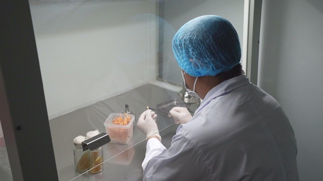 Startup trẻ nông nghiệp công nghệ cao tìm hướng đi mới cho kinh tế đô thị - Ảnh 3.