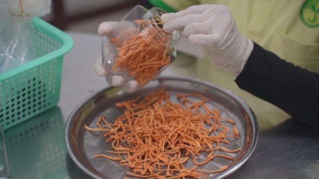 Startup trẻ nông nghiệp công nghệ cao tìm hướng đi mới cho kinh tế đô thị - Ảnh 4.