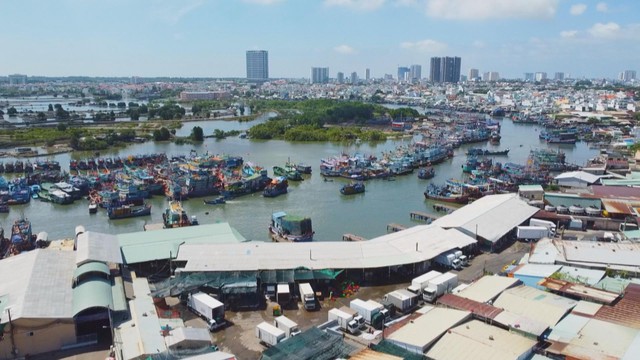 Ngư dân TP. Hồ Chí Minh nâng cao ý thức chấp hành quy định IUU khi vươn khơi - Ảnh 1.