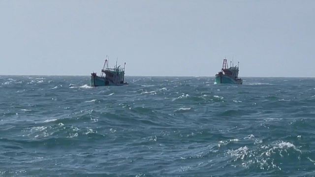 Ngư dân TP. Hồ Chí Minh nâng cao ý thức chấp hành quy định IUU khi vươn khơi - Ảnh 3.