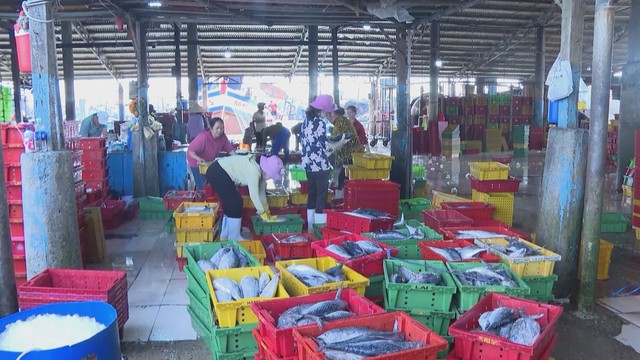 Ngư dân TP. Hồ Chí Minh nâng cao ý thức chấp hành quy định IUU khi vươn khơi - Ảnh 4.