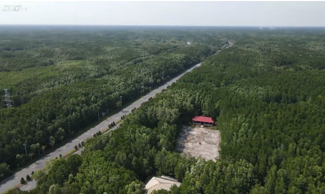 Cùng HTV Hành động xanh 2026 - Tập 1: Bảo vệ "lá chắn xanh" nơi đầu sóng - Ảnh 2.