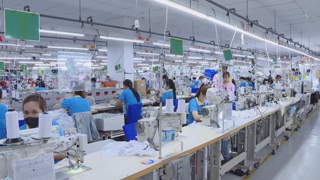 Vươn khơi - Ngày 13/3/2026 | Mạn đàm tiểu sử ứng cử viên giúp cử tri hiểu rõ trước ngày bầu cử - Ảnh 2.