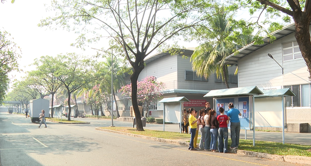 Cử tri công nhân lao động sẵn sàng đi bầu cử - Ảnh 1.