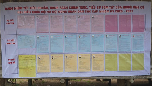 Gia Lai tổ chức bầu cử sớm tại thôn O2, xã Vĩnh Sơn - Ảnh 4.