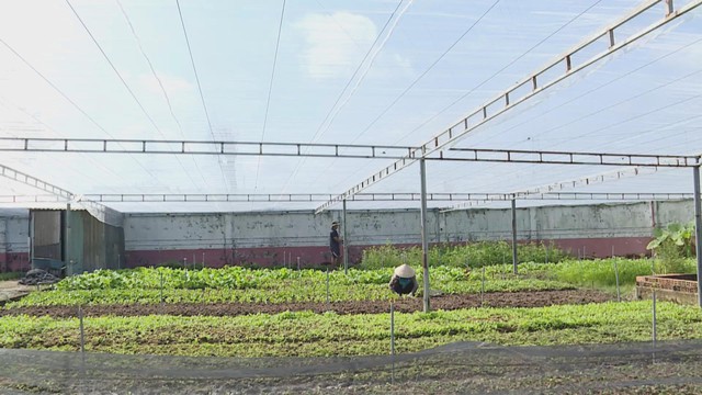 Thời sự HTV ngày 16/3/2026 | Nhiều công việc được triển khai ngay sau ngày bầu cử - Ảnh 1.