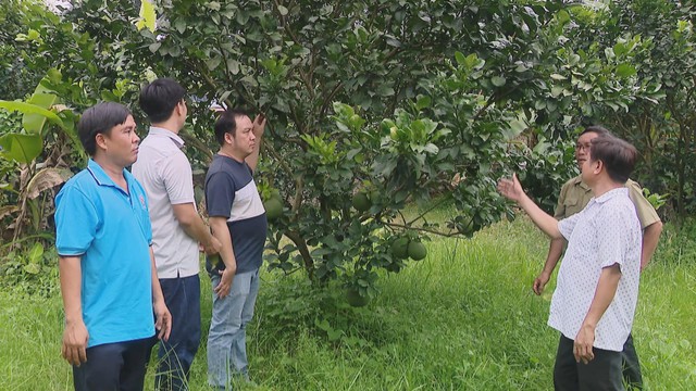 60 Giây ngày 16/3/2026 | OCOP - Hướng đi bền vững cho nông nghiệp địa phương - Ảnh 1.