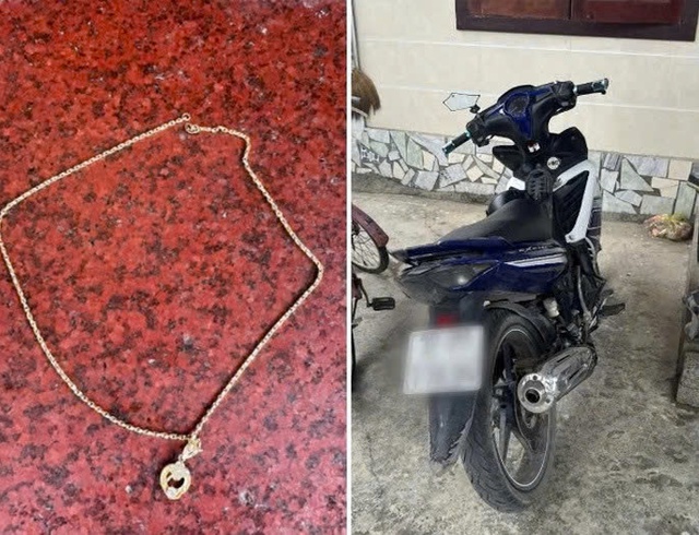 Kẻ bịt mặt xông vào phòng tập thể dục cướp dây chuyền bị bắt - Ảnh 2.