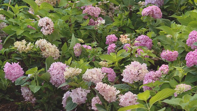 Thời sự HTV ngày 17/3/2026 | Ra mắt gameshow Kilowatt mùa 3 - Ảnh 3.