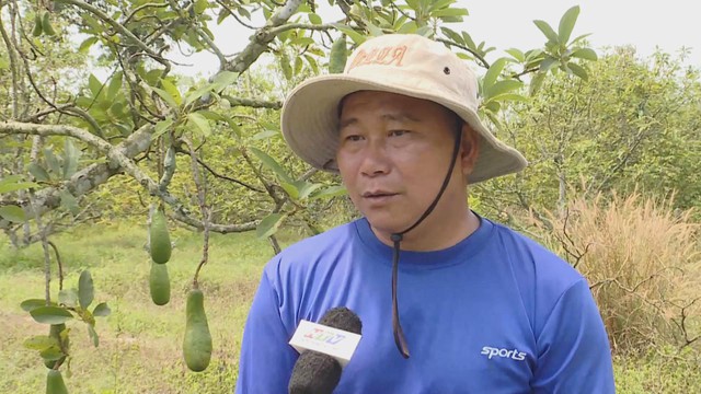 OCOP - Bước đi của nông nghiệp bền vững - Ảnh 1.