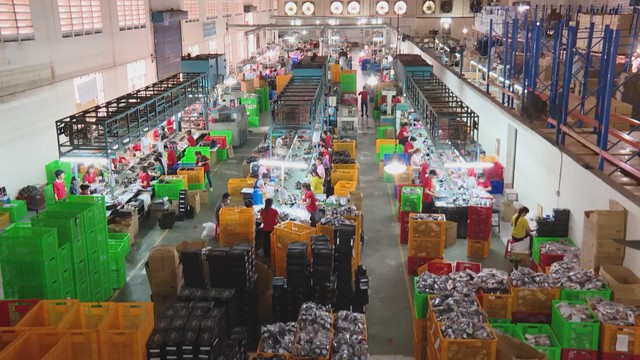 Thời sự trưa HTV ngày 18/3/2026 I Gameshow Kilowatt mùa 3 trở lại với nhiều đổi mới - Ảnh 2.