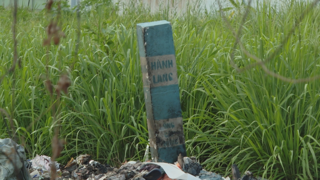 TP. Hồ Chí Minh đẩy nhanh tiến độ các dự án trọng điểm - Ảnh 3.